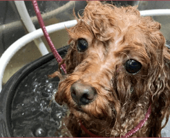 資格取得にかかる費用と支払い方法