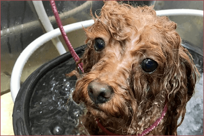 資格取得にかかる費用と支払い方法