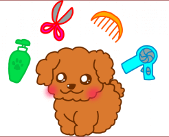 人気のカットとデザインカット