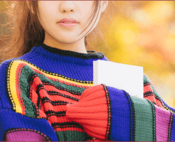 資格の受験日程の目安