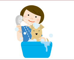 ペットトリマーの学校はある？