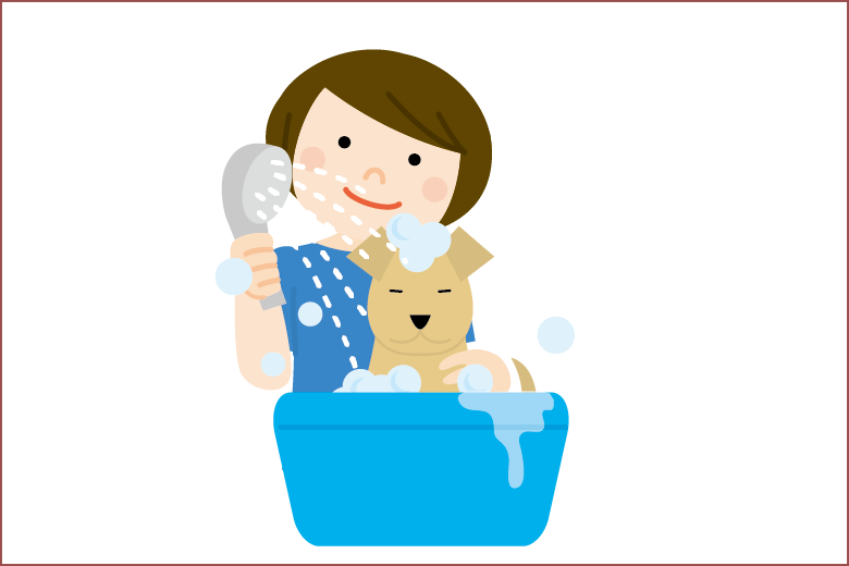 ペットトリマーの学校はある？