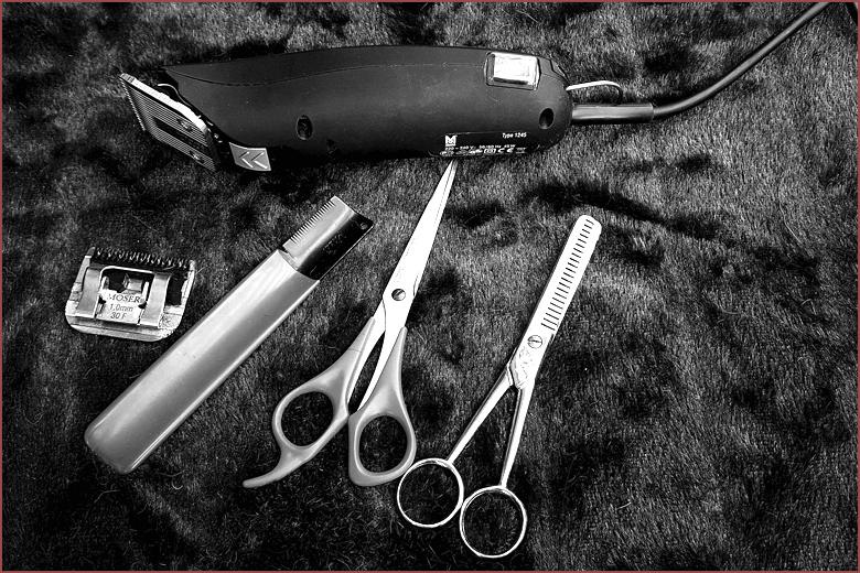 資格を生かして働くには？